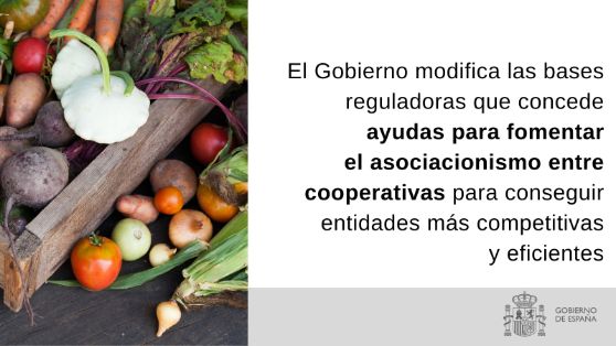 HOY, EN EL CONSEJO DE MINISTROS