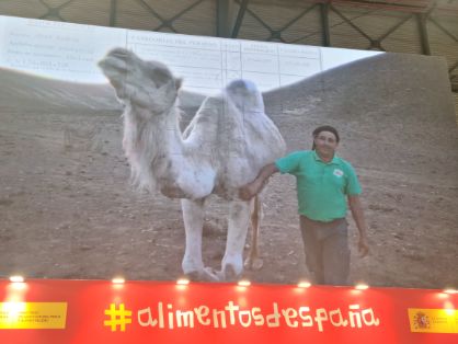 EL ESTAND DEL MAPA OFRECE ELABORACIONES REALIZADAS POR JEFES DE COCINA DE PARADORES

