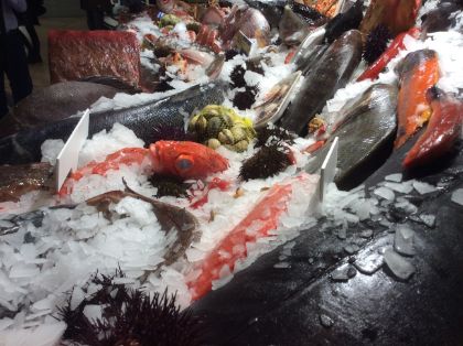 PUBLICADO HOY EN EL BOE