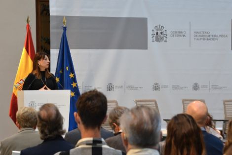 Jornada plenaria de balance y cierre 