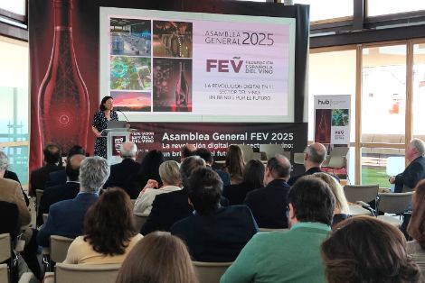 Hoy, en Madrid, en la asamblea de la Federación Española del Vino 