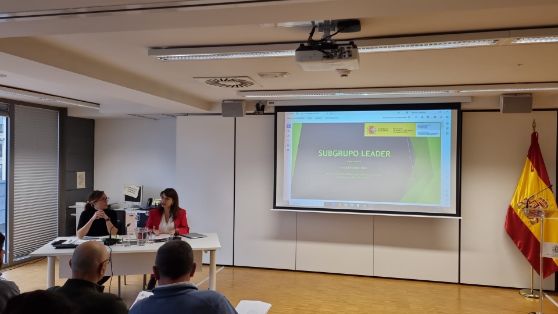 11.12.2024 Bombal Leader