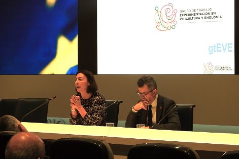 26.03.2025 SGRASA Clausura5