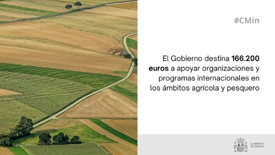 Hoy, en el Consejo de Ministros 