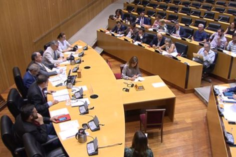 En el Congreso de los Diputados