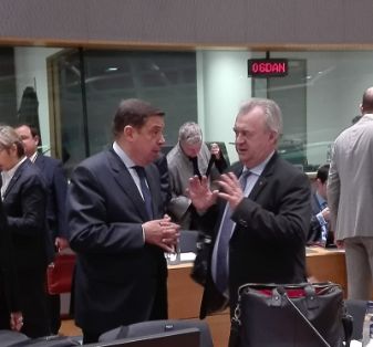 Celebrado hoy en Bruselas 