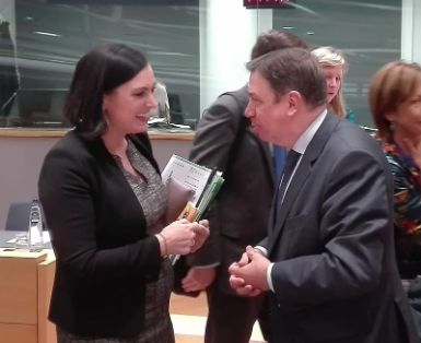 Celebrado hoy en Bruselas 