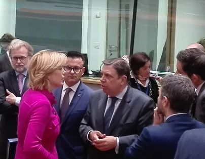 Celebrado hoy en Bruselas 