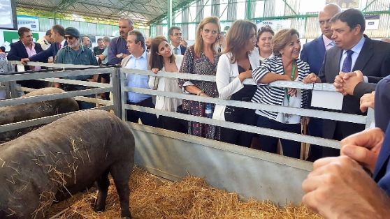 HOY, EN LA INAUGURACIÓN DE LA FERIA INTERNACIONAL GANADERA Y 565 TRADICIONAL DE SAN MIGUEL EN ZAFRA (BADAJOZ) 