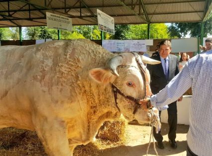HOY, EN LA INAUGURACIÓN DE LA FERIA INTERNACIONAL GANADERA Y 565 TRADICIONAL DE SAN MIGUEL EN ZAFRA (BADAJOZ) 