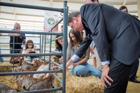 HOY, EN LA INAUGURACIÓN DE LA FERIA INTERNACIONAL GANADERA Y 565 TRADICIONAL DE SAN MIGUEL EN ZAFRA (BADAJOZ) 