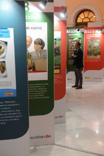 HOY, EN LA PRESENTACIÓN DE UNA EXPOSICIÓN DE CARTELES DEL MINISTERIO, CON MOTIVO DEL 40 ANIVERSARIO DE LA CONSTITUCIÓN ESPAÑOLA