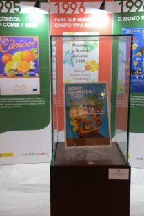 HOY, EN LA PRESENTACIÓN DE UNA EXPOSICIÓN DE CARTELES DEL MINISTERIO, CON MOTIVO DEL 40 ANIVERSARIO DE LA CONSTITUCIÓN ESPAÑOLA