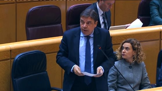 SESIÓN DE CONTROL AL GOBIERNO EN EL SENADO 