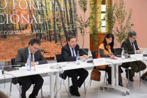 HOY EN EL CONSEJO FORESTAL NACIONAL  