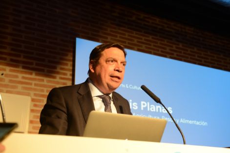 Hoy, en el Mercado Barceló 