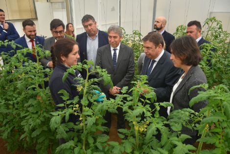 HOY, EN UTRERA (SEVILLA)