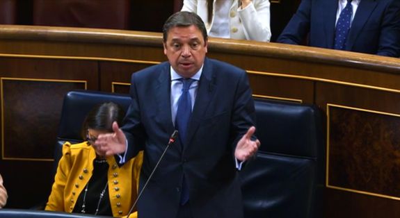 Hoy, en el Pleno del Congreso 