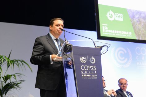 Hoy, en la Reunión de Alto Nivel sobre Bosques, en la COP25