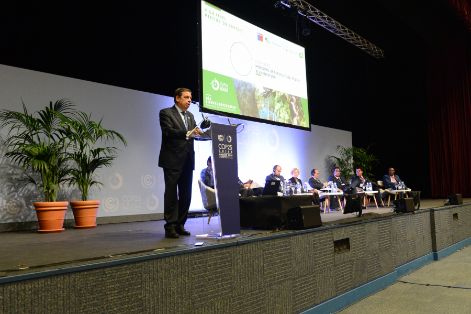 Hoy, en la Reunión de Alto Nivel sobre Bosques, en la COP25