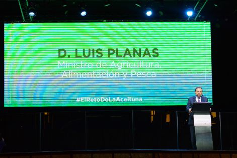 Hoy, en la presentación de la campaña nacional de promoción de Interaceituna