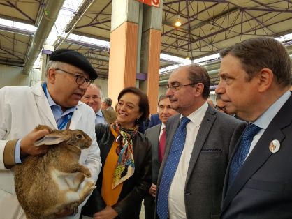 HOY, EN SU VISITA A FIGAN 2019, EN ZARAGOZA