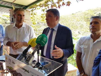 HOY, EN SU VISITA A LA ASOCIACIÓN MOSCATEL, EN ALMÁCHAR (MÁLAGA)