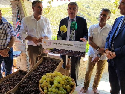 HOY, EN SU VISITA A LA ASOCIACIÓN MOSCATEL, EN ALMÁCHAR (MÁLAGA)