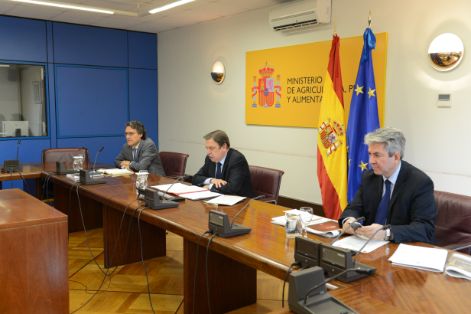 HOY, POR VIDEOCONFERENCIA CON LA FEDERACIÓN ESPAÑOLA DEL VINO (FEV)