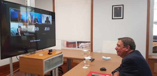 En el encuentro, por videoconferencia, con el director de IICA 