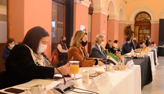 Reuniones de la Conferencia Sectorial y el Consejo Consultivo