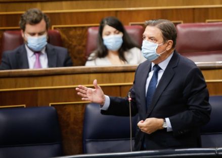 SESIÓN DE CONTROL AL GOBIERNO EN EL CONGRESO DE LOS DIPUTADOS  