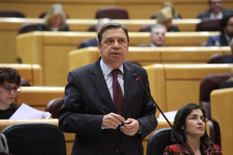 Hoy, en la sesión de control al Gobierno en el Senado 