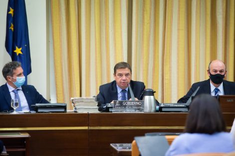 EN LA COMISIÓN DE AGRICULTURA, PESCA Y ALIMENTACIÓN DE LA CÁMARA BAJA