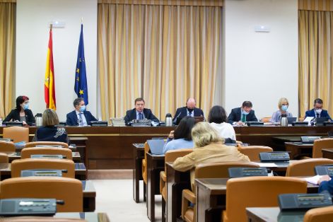 EN LA COMISIÓN DE AGRICULTURA, PESCA Y ALIMENTACIÓN DE LA CÁMARA BAJA