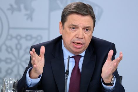 Hoy, en el Consejo de Ministros 