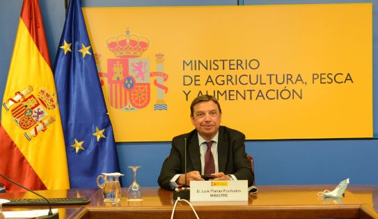 En una reunión hoy por videoconferencia