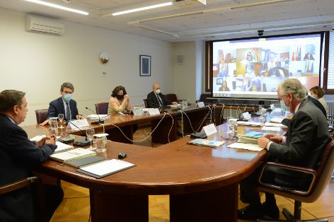 REUNIDA POR VIDEOCONFERENCIA