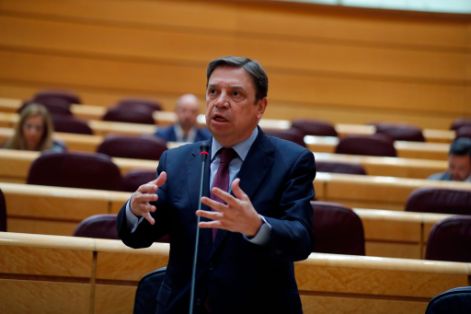 Hoy, en la Sesión de control al Gobierno del Senado 