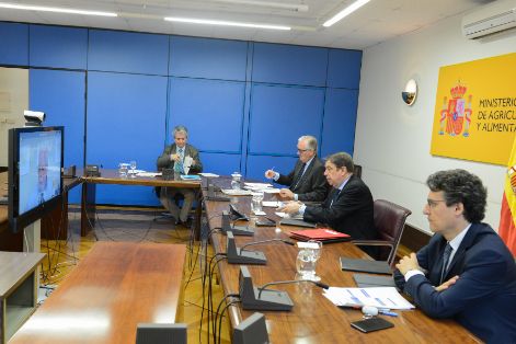 EN UNA REUNIÓN CELEBRADA HOY POR VIDEOCONFERENCIA 