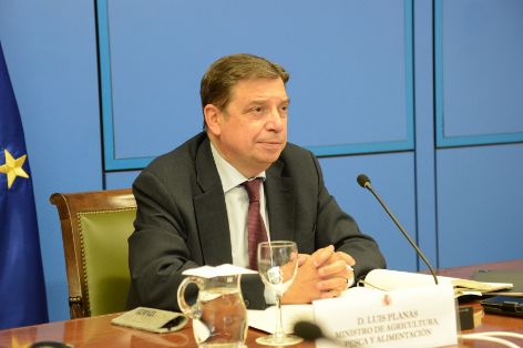 En una reunión con la consejera de Agricultura, Ganadería y Pesca de Canarias y la asociación de plátanos de Canarias (Asprocan)