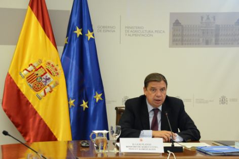 Hoy, en una reunión por videoconferencia   