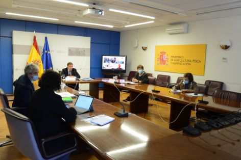 Hoy, en una reunión por videoconferencia   