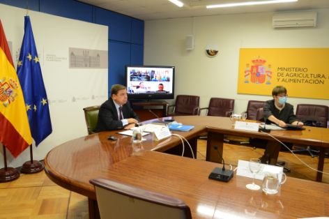 Hoy, en una reunión por videoconferencia   