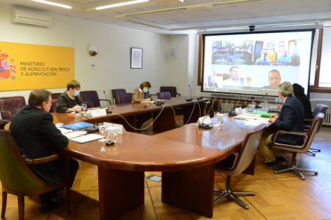 Hoy, en una reunión por videoconferencia   