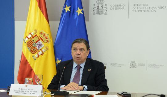 Durante la videoconferencia organizada por Cooperativas Agro-alimentarias de España  