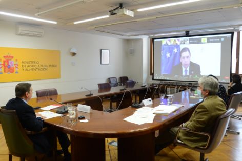 Durante la videoconferencia organizada por Cooperativas Agro-alimentarias de España  