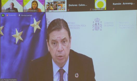 Durante la videoconferencia organizada por Cooperativas Agro-alimentarias de España  