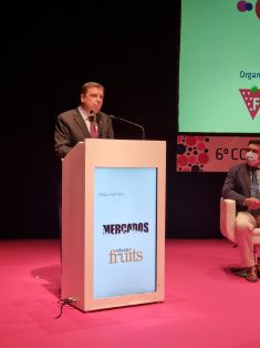 HOY, EN EL VI CONGRESO INTERNACIONAL DE FRUTOS ROJOS EN HUELVA 