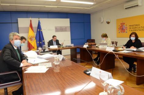 En una reunión por videoconferencia presidida por el ministro Luis Planas